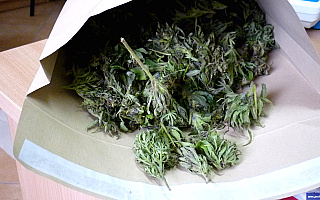 Ponad 3,5 kg marihuany nie trafi na rynek. Policjanci zatrzymali 22-latka